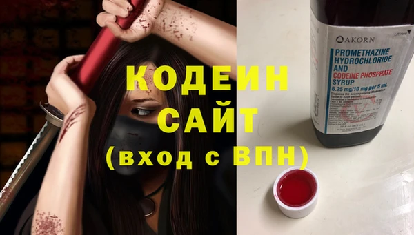 индика Майский