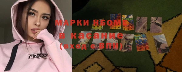 индика Майский