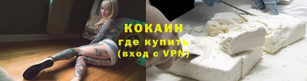 индика Майский