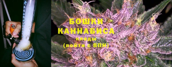 индика Майский