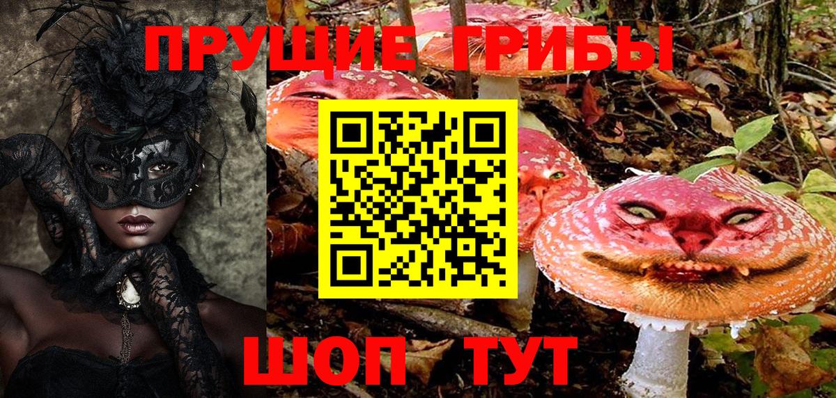 Галлюциногенные грибы Cubensis Нефтекамск